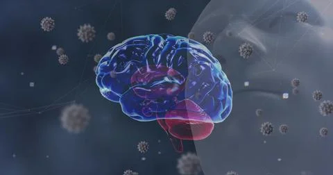 Rotating 3D brain model showing virus-like particles mesh nodes and head Stock Illustration