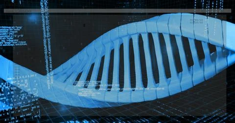 Rotating 3D DNA double helix glowing in virtual lab, displaying code overlays, Foto stock