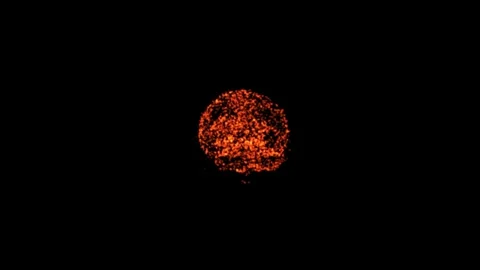 Rotating 3D Human Head Animation Stock Footage 336651439