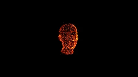 Rotating 3D Human Head Animation Stock Footage 336651441