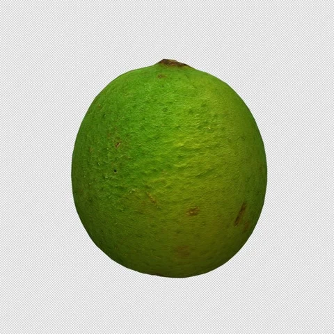 Rotating 3D Limes- Seamless Endless Loop in 4K Stock Footage 304546564