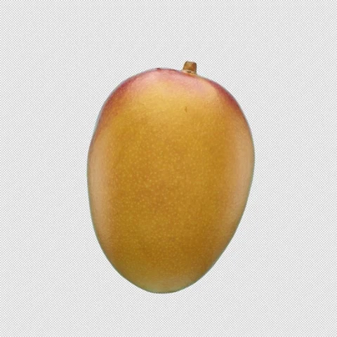 Rotating 3D Mango- Seamless Endless Loop in 4K Stock Footage 304239609