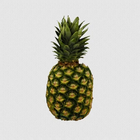 Rotating 3D Pineapple - Seamless Endless Loop in 4K Stock Footage 304239761