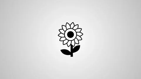 Rotating 3d sunflower icon transforms into flat 2d graphic then cycles back.. Stock-Footage 346496421