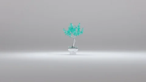 Rotating 3D Transparent Plastic Tree Against White Gradient Background Stock Footage 112805422