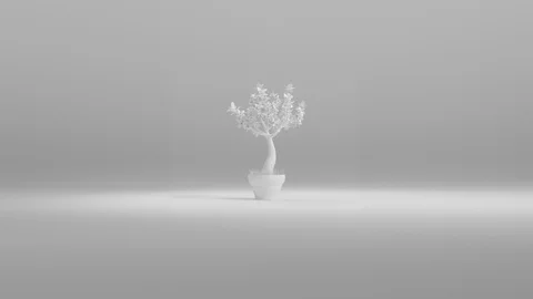Rotating 3D White Tree Against White Gradient Background Stock Footage 112805590