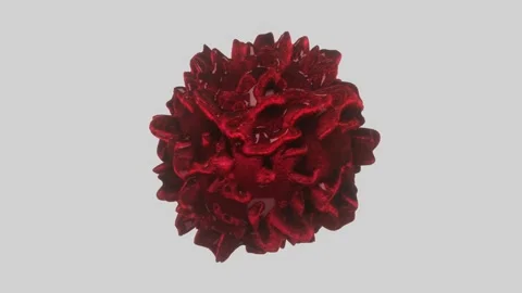 Rotating abstract deforming sphere with texture on white background. 3d render Stock Footage 151809981