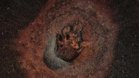 Rotating Abstract (Macro) Stock Footage 99808100