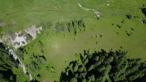 Rotating Aerial Drone View of Lush Green Forests, Meadows, and a Road in th.. Stock Footage 317627243