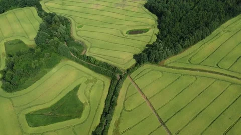 Rotating aerial view of green field with twisted lines and curved shapes Stock Footage 202040583
