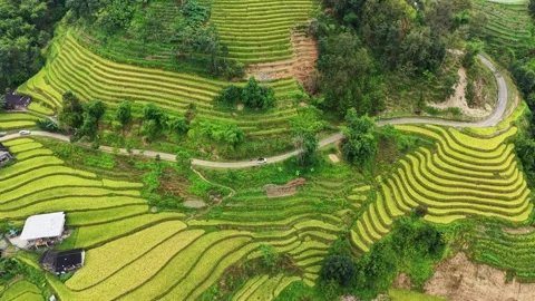 Rotating Aerial View of Sharp Mountain Road Bends in Hoang Su Phi Video stock 347451059