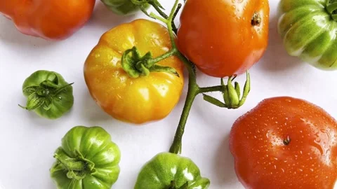 The rotating appearance of heirloom tomatoes Video stock 328572011
