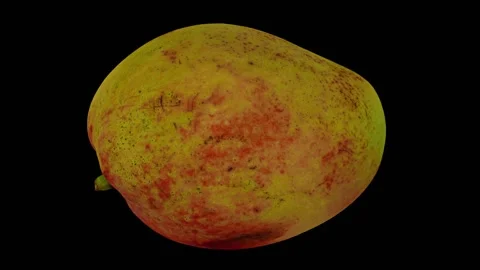 Rotating Apple Mango on Black Background (Looping) Stock Footage 148595847