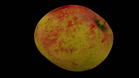 Rotating Apple Mango on Black Background (Looping) Video stock 148596260