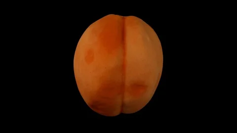 Rotating Apricot on Black Background (Looping) Stock Footage 93377200