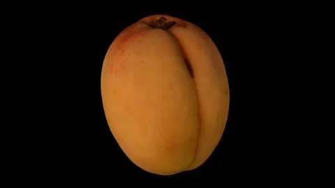 Rotating Apricot on Black Background (Looping) Stock Footage 93377319
