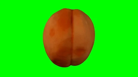 Rotating Apricot on Green Background (Looping) Stock Footage 93377206