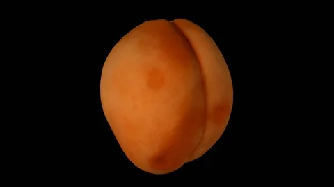 Rotating Apricot on Transparent Background (Looping with Alpha Channel) Stock Footage 93328787