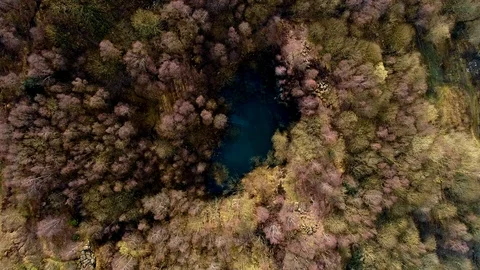Rotating around an opening in the trees with a pool of water, Drone, Yorkshire Stock Footage 93319341