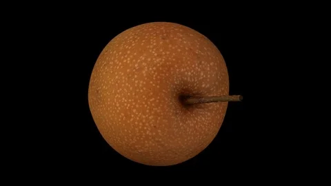 Rotating Asian Pear on Black Background Video stock 80580555
