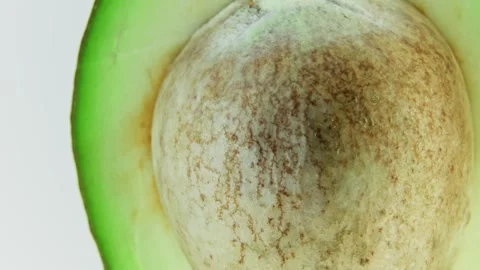 Rotating Avocado Seed Macro Close Up Texture. 库存影片 334575063