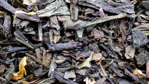 Rotating background from green tea blend with natural additives Stock-Footage 232728261