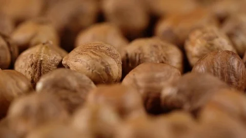 Rotating background of hazelnuts Stock Footage 71531483