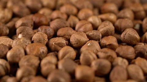 Rotating background of hazelnuts Stock Footage 71531524