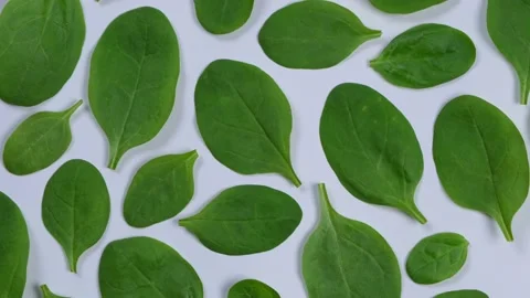 Rotating background of spinach leaves on a white background,healthy food concept Stock Footage 197332636