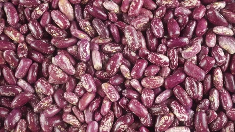 Rotating Beans Dark Red Speckled. Stock-Footage 319762164
