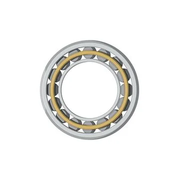 Rotating bearing mechanism with rolling elements Stock Illustration