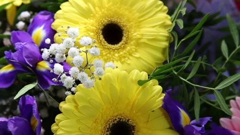 Rotating beautiful bright bouquet of multi-colored gerberas and irises. Stock-Footage 82470146