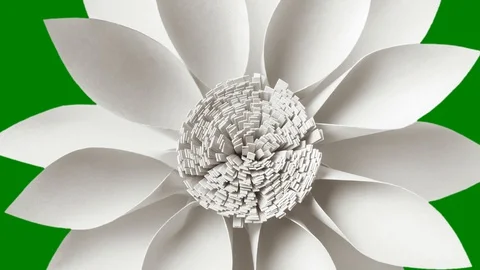 Rotating beautiful silver flower on green screen background. Close-up Stock Footage 130062666