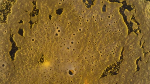 Rotating beer with froth Stock Footage 135365943