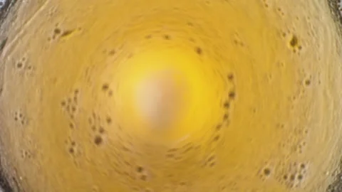 Rotating beer in the glass Stock Footage 134698855