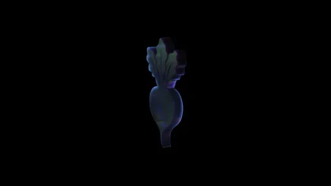 Rotating beet on black background with alpha channel Stock Footage 318153596