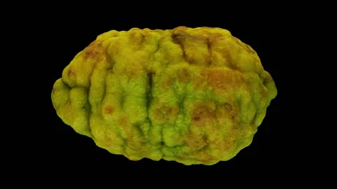 Rotating Bergamot Orange on Black Background (Looping) Stock Footage 139720386