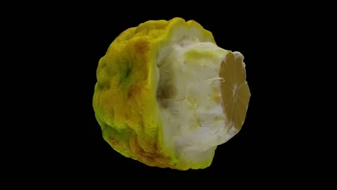 Rotating Bergamot Orange on Black Background (Looping) Stock Footage 139725733