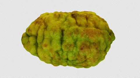 Rotating Bergamot Orange on Transparent Background (Looping with Alpha Channel) Stock Footage 139720269