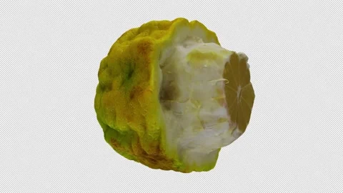 Rotating Bergamot Orange on Transparent Background (Looping with Alpha Channel) Stock Footage 139725029