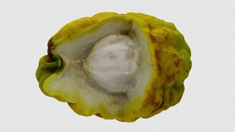 Rotating Bergamot Orange on Transparent Background (Looping with Alpha Channel) Stock Footage 139728297