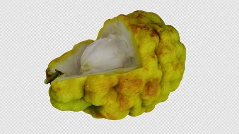 Rotating Bergamot Orange on Transparent Background (Looping with Alpha Channel) Stock Footage 139730538