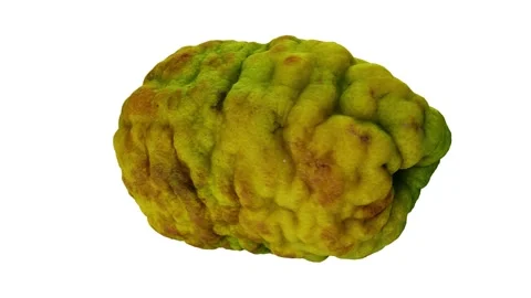 Rotating Bergamot Orange on White Background (Looping) Stock Footage 139719430
