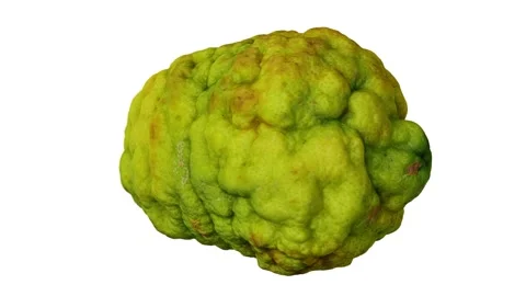 Rotating Bergamot Orange on White Background (Looping) Stock Footage 139721634
