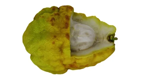 Rotating Bergamot Orange on White Background (Looping) Stock Footage 139732743
