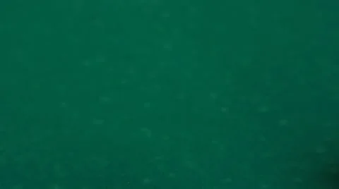 Rotating billiard ball Stock Footage 53410653