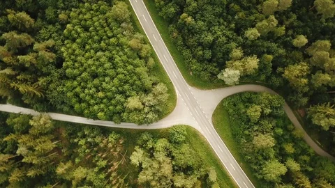 Rotating birds eye shot of empty country road in a forest Stock Footage 119824022