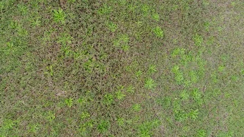 Rotating birds eye view of grass Stock Footage 77332255