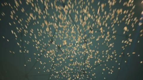 Rotating bitcoin dissolves into bytes (4K Loop) Stock Footage 76699998