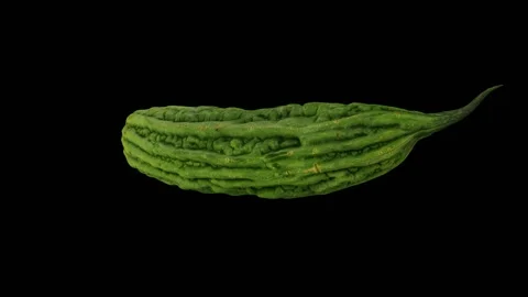 Rotating Bitter Melon on Black Background (Looping) Stock Footage 146674500
